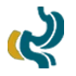 Duodenal Cancer