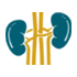 Kidney Cancer