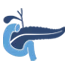 Pancreatic Cancer